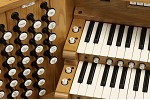 Organ of the Week