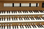 Organ of the Week