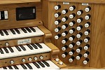 Organ of the Week