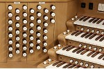Organ of the Week
