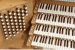 Organ of the Week