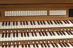 Organ of the Week