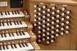 Organ of the Week