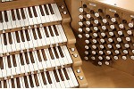 Organ of the Week