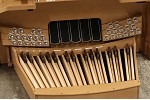 Organ of the Week