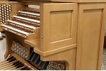 Organ of the Week
