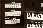 Organ of the Week