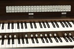 Organ of the Week