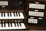 Organ of the Week