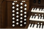 Organ of the Week