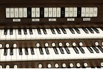 Organ of the Week