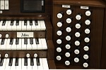 Organ of the Week