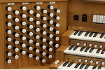 Organ of the Week