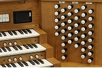 Organ of the Week