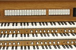 Organ of the Week