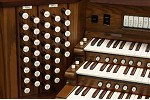 Organ of the Week