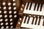 Organ of the Week