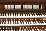 Organ of the Week
