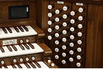 Organ of the Week
