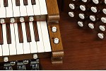 Organ of the Week
