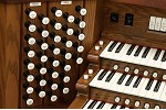 Organ of the Week