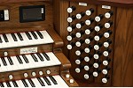 Organ of the Week