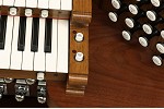 Organ of the Week