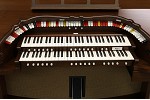 Organ of the Week