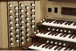 Organ of the Week
