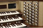 Organ of the Week