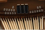 Organ of the Week