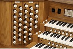 Organ of the Week