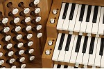 Organ of the Week