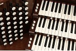 Organ of the Week