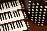 Organ of the Week