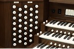 Organ of the Week
