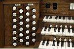 Organ of the Week