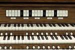 Organ of the Week
