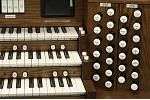Organ of the Week