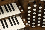 Organ of the Week