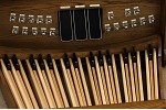 Organ of the Week