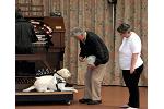 Ray Drury says, 'hi' to the guide dog of organist Richard Hore